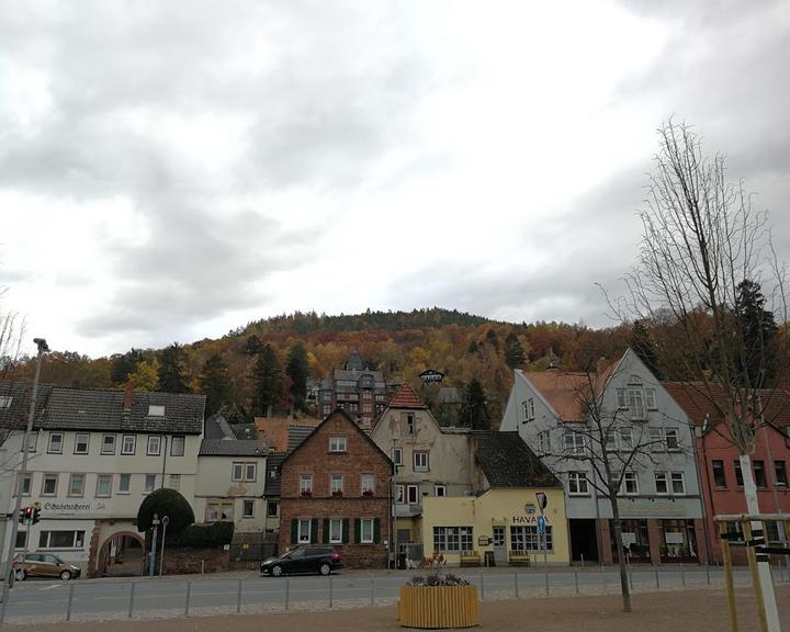 Gasthaus zum Riesen